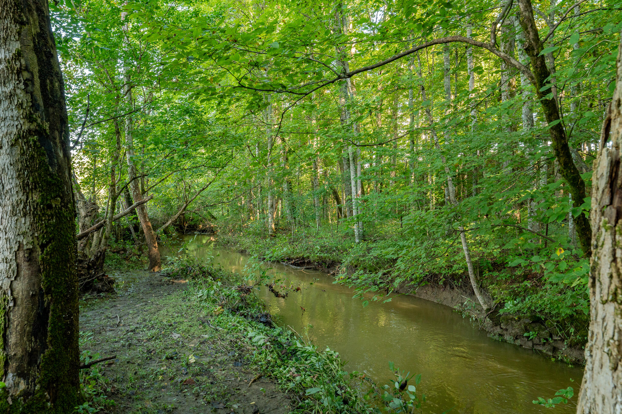 3419 Potato Hill Road Kingsport, TN 37660 - Photo 51 of 70 3419 Potato Hill Rd (57 of 102)