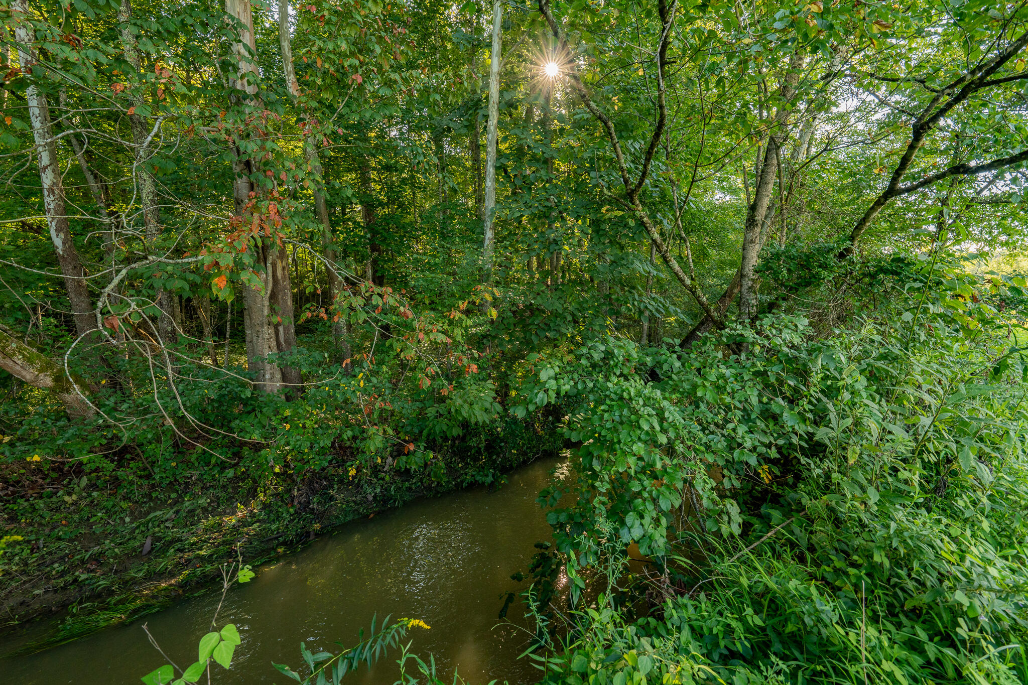 3419 Potato Hill Road Kingsport, TN 37660 - Photo 52 of 70 3419 Potato Hill Rd (51 of 102)
