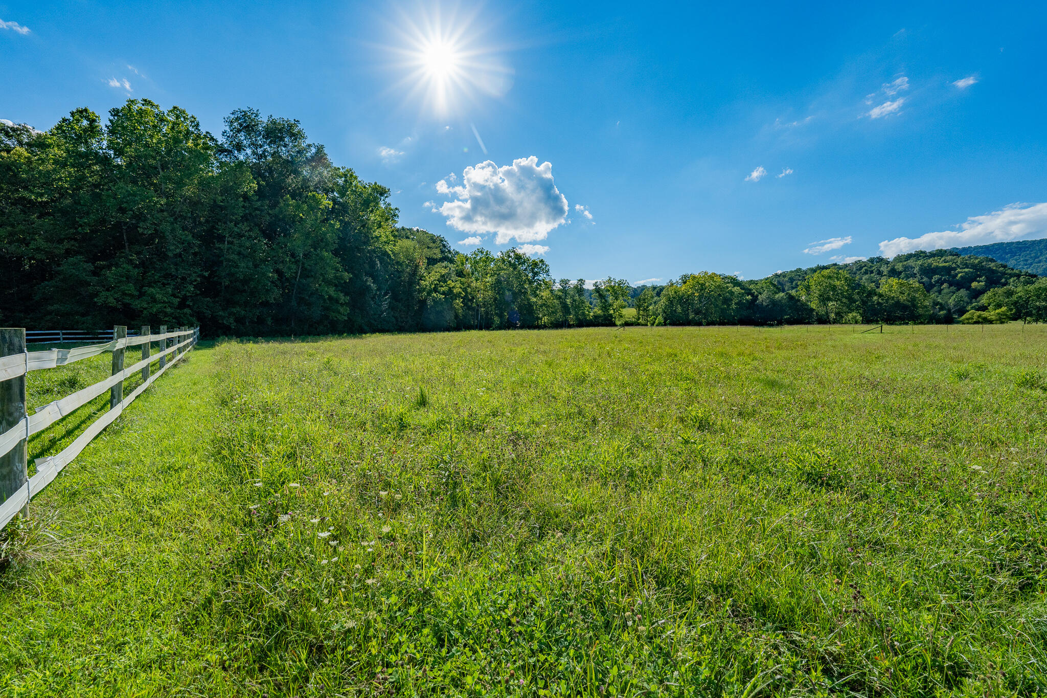 3419 Potato Hill Road Kingsport, TN 37660 - Photo 54 of 70 3419 Potato Hill Rd (50 of 102)