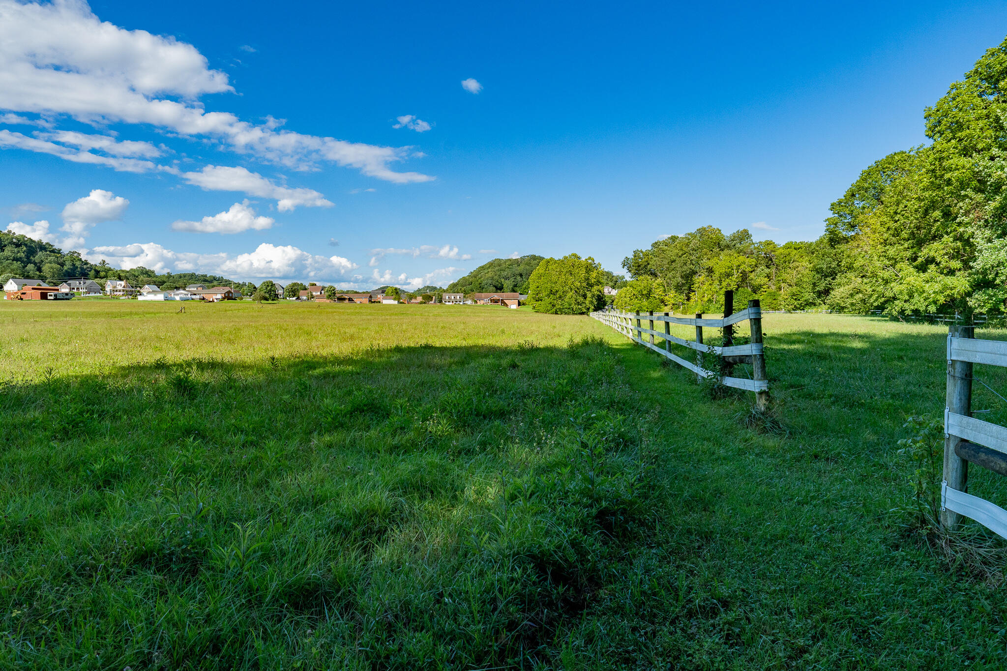 3419 Potato Hill Road Kingsport, TN 37660 - Photo 55 of 70 3419 Potato Hill Rd (53 of 102)