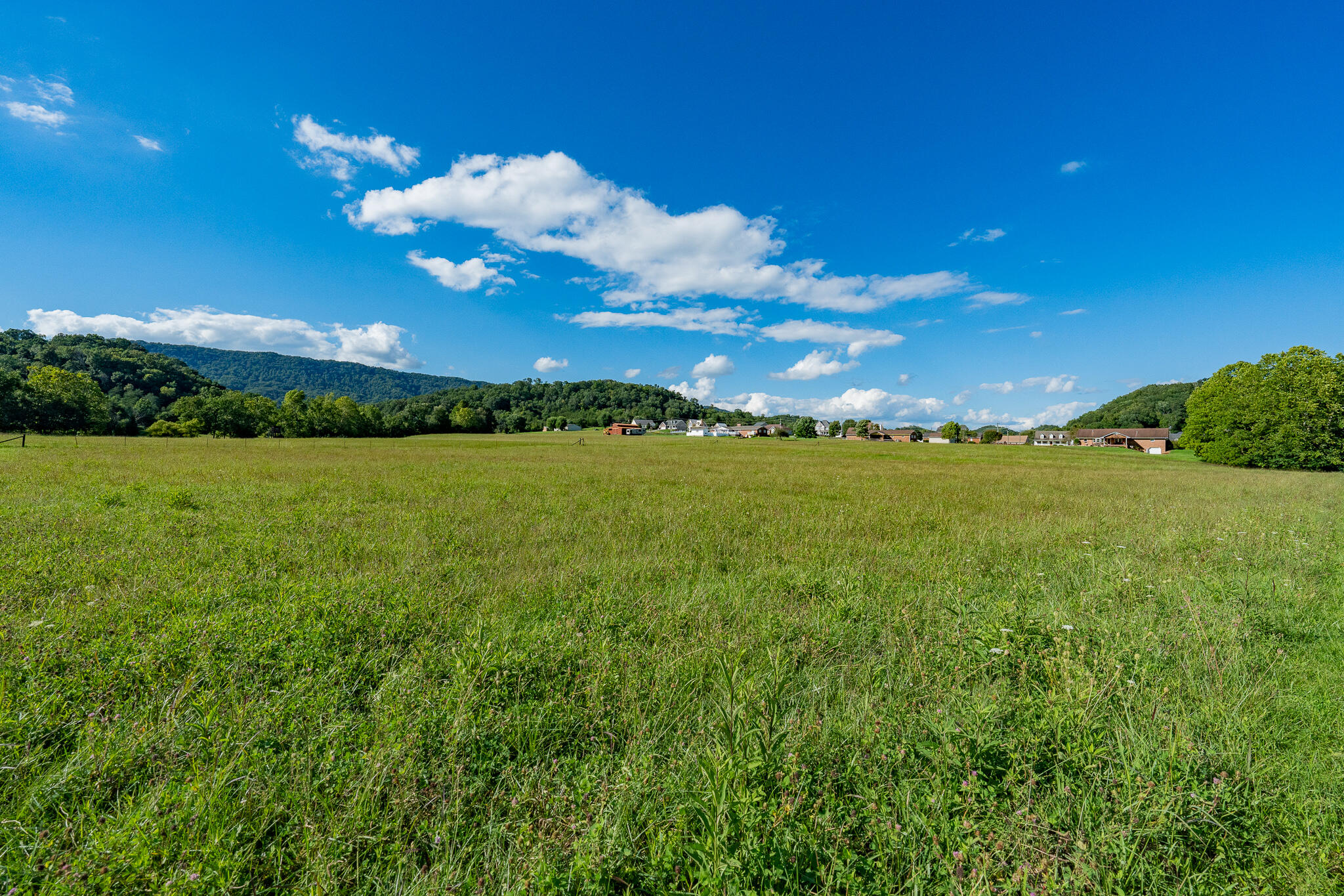 3419 Potato Hill Road Kingsport, TN 37660 - Photo 56 of 70 3419 Potato Hill Rd (49 of 102)
