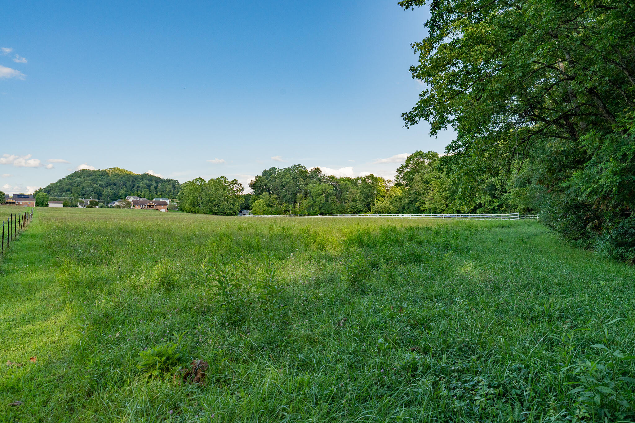 3419 Potato Hill Road Kingsport, TN 37660 - Photo 57 of 70 3419 Potato Hill Rd (58 of 102)