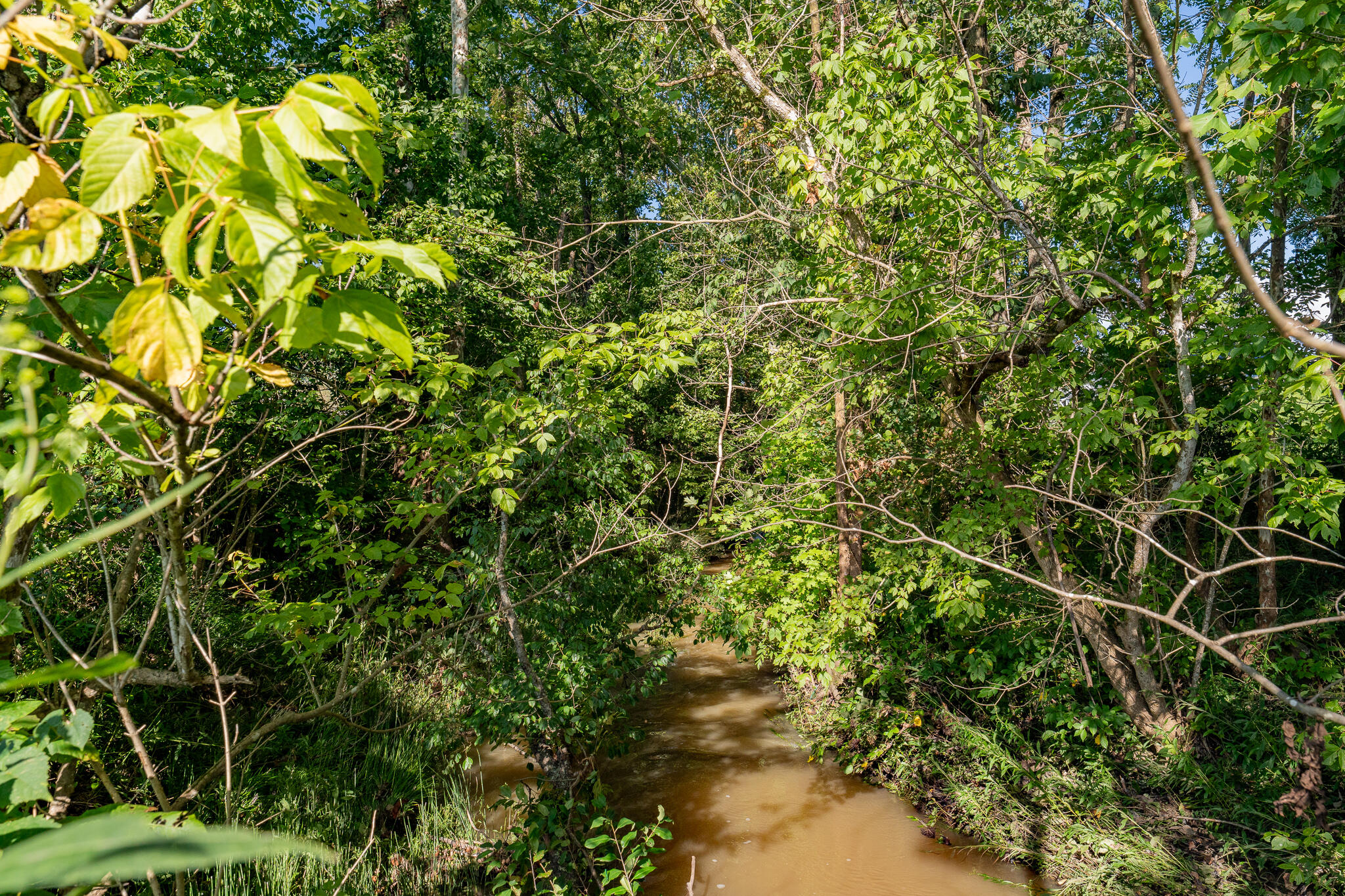 3419 Potato Hill Road Kingsport, TN 37660 - Photo 58 of 70 3419 Potato Hill Rd (46 of 102)