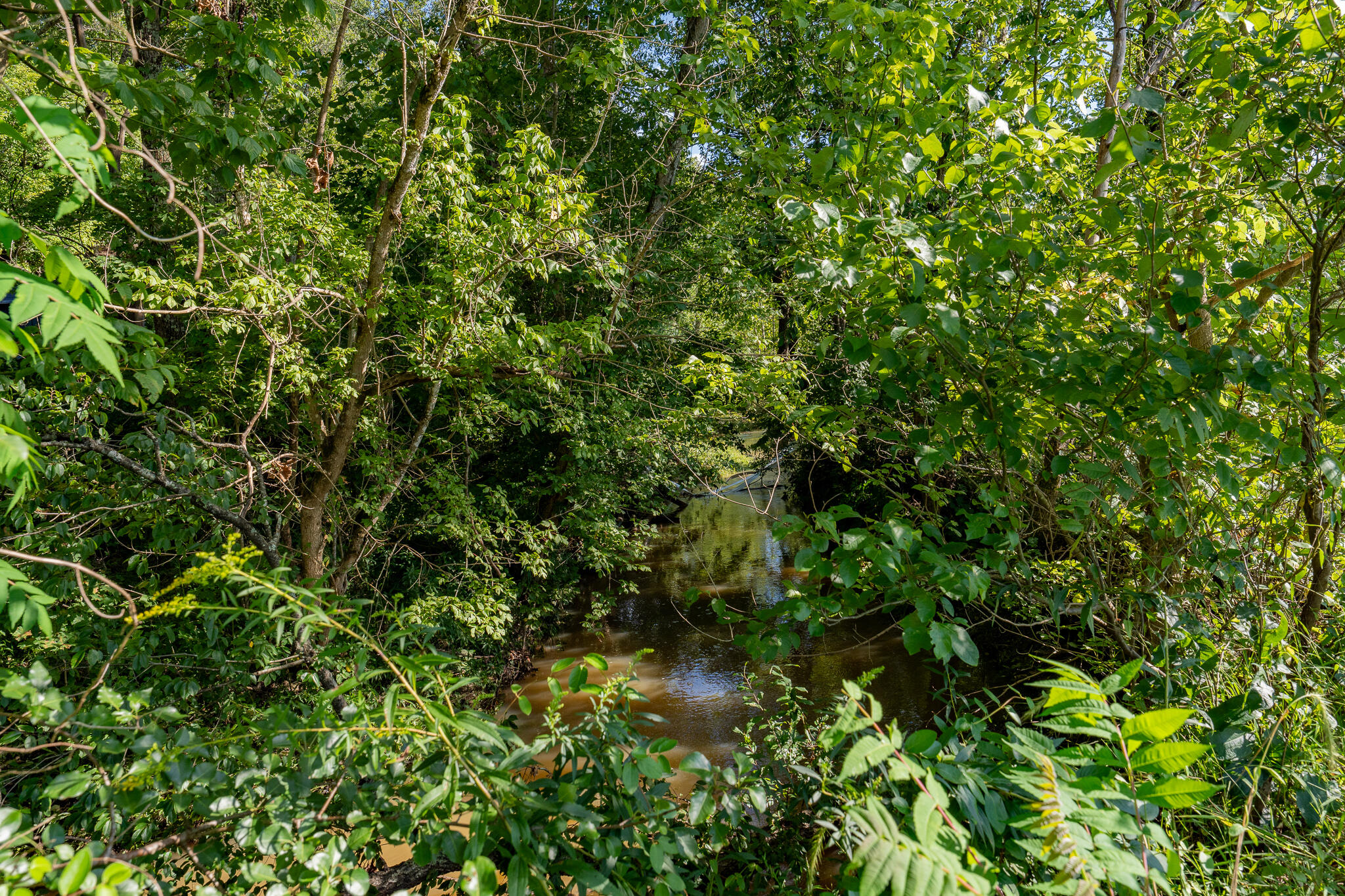 3419 Potato Hill Road Kingsport, TN 37660 - Photo 59 of 70 3419 Potato Hill Rd (45 of 102)