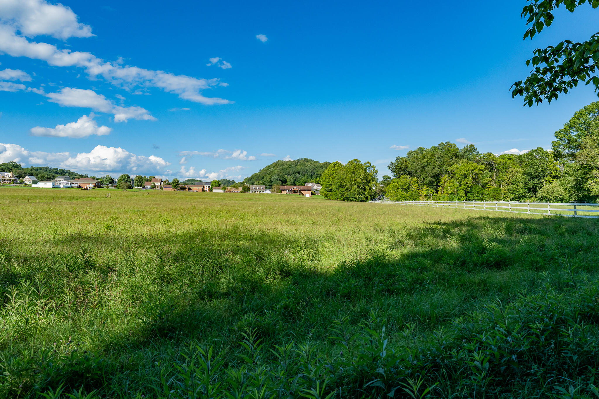3419 Potato Hill Road Kingsport, TN 37660 - Photo 61 of 70 3419 Potato Hill Rd (54 of 102)