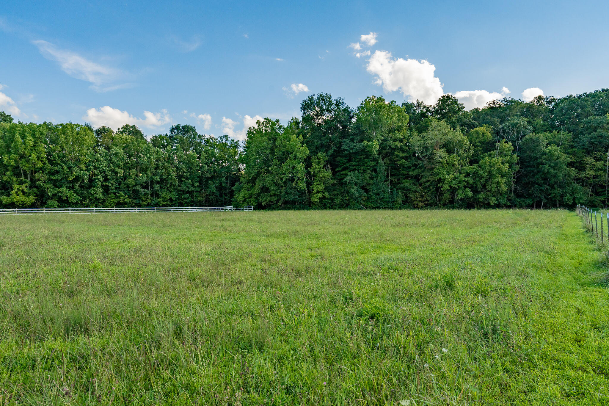 3419 Potato Hill Road Kingsport, TN 37660 - Photo 62 of 70 3419 Potato Hill Rd (60 of 102)