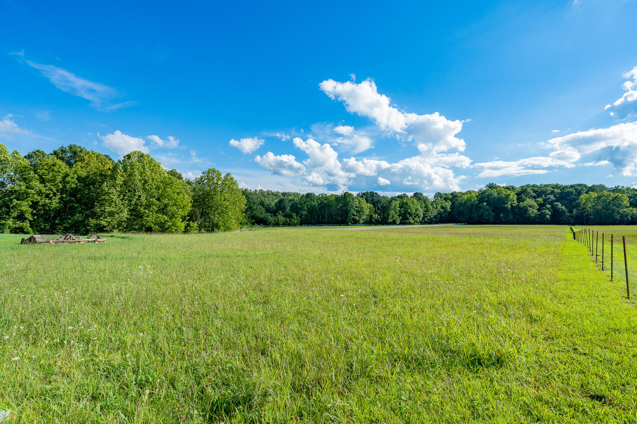 3419 Potato Hill Road Kingsport, TN 37660 - Photo 63 of 70 3419 Potato Hill Rd (67 of 102)