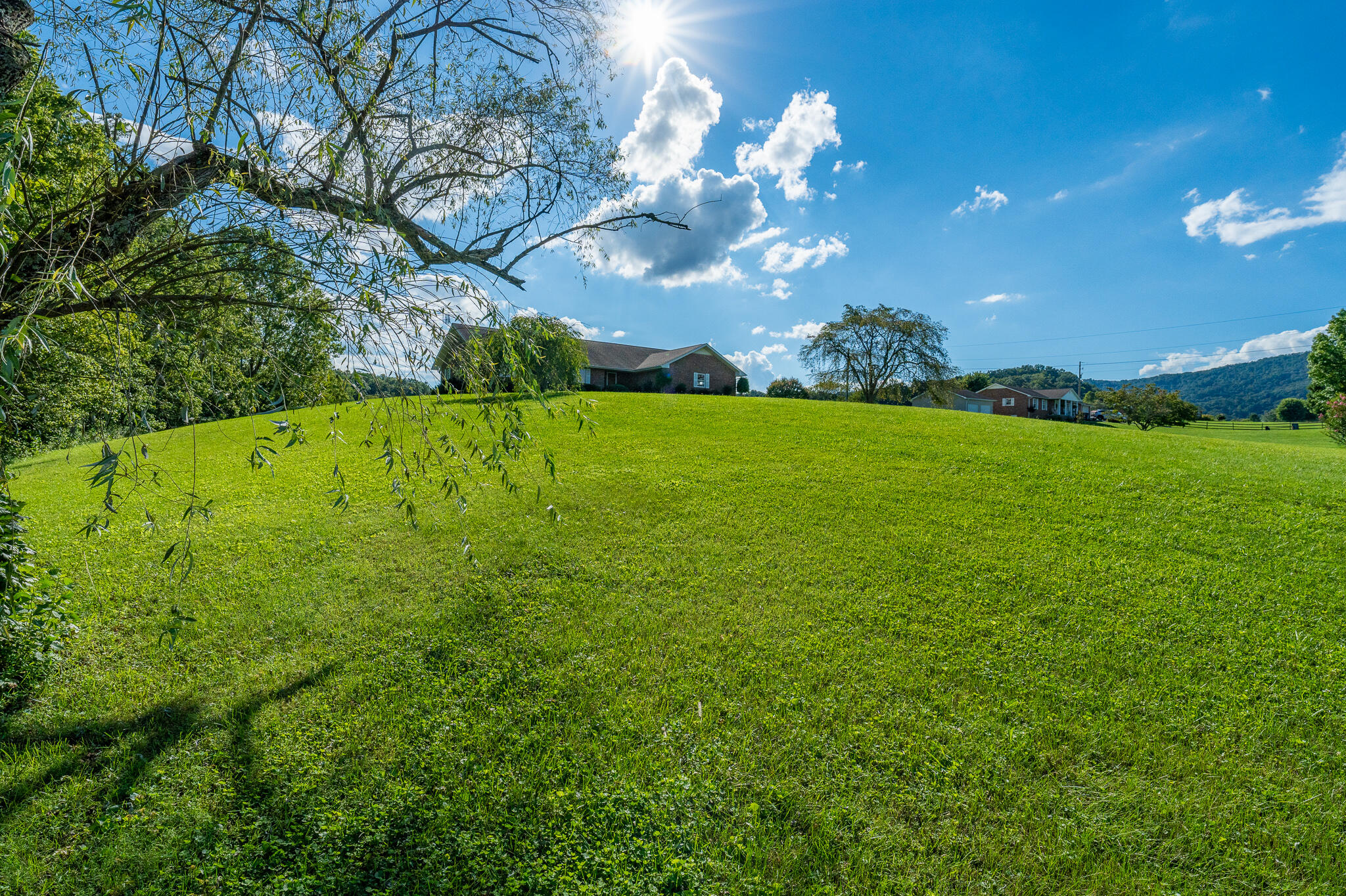 3419 Potato Hill Road Kingsport, TN 37660 - Photo 69 of 70 3419 Potato Hill Rd (23 of 102)