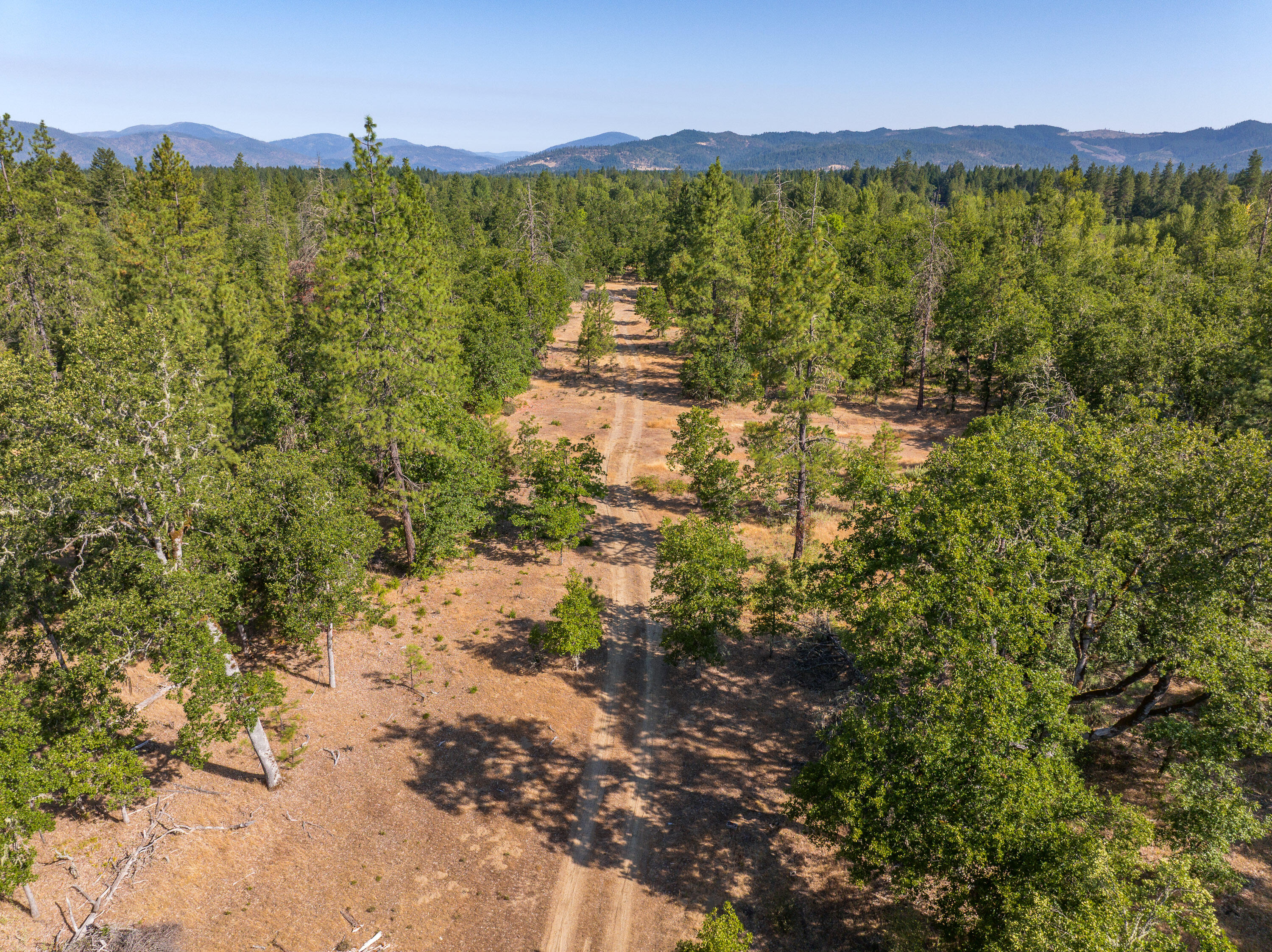 1257 Ridge Vista Drive Cave Junction, OR 97523 - Photo 26 of 26 1257RidgeVistaDr-031
