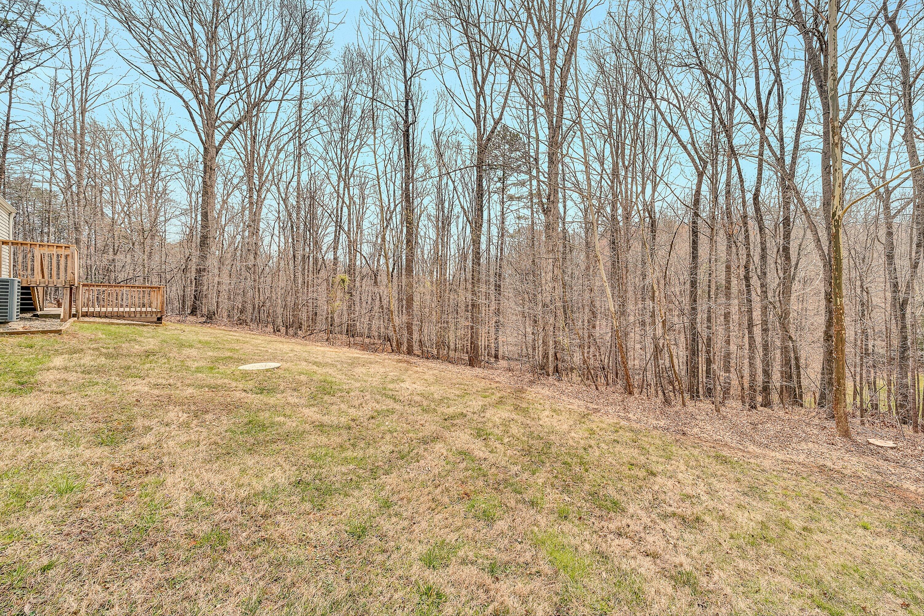 1081 Owen Ridge Lane Goodview, VA 24095 - Photo 28 of 31 25-VM-08160