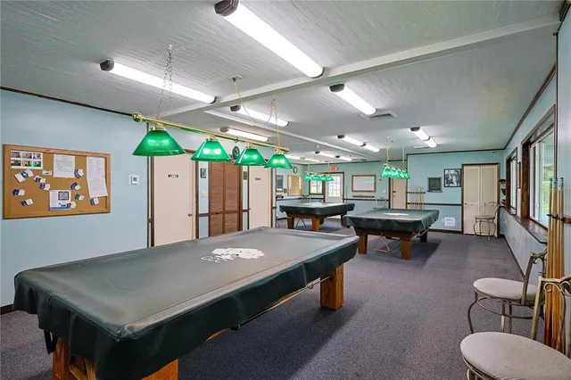 a view of a garden with plants