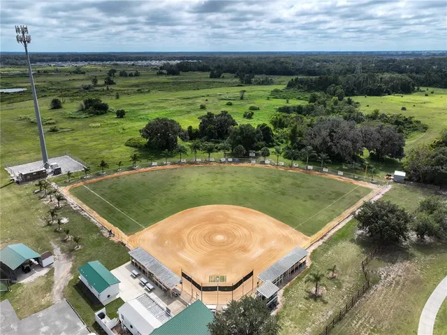 a view of a garden with plants and large trees