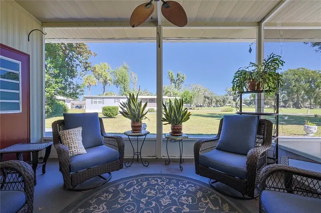 a room with furniture and a potted plant