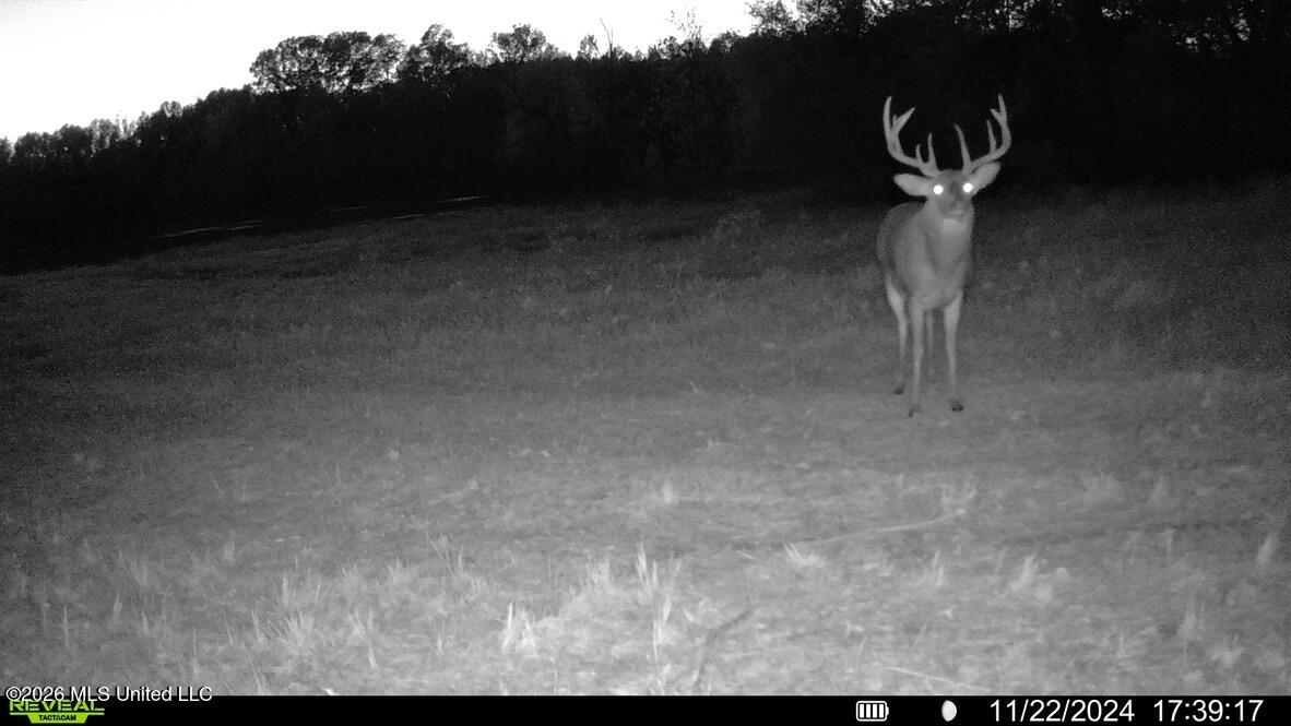 425 Rose Hill Road Bentonia, MS 39040 - Photo 144 of 150 5DF711E0-883C-481A-A622-57605F490915_1_1