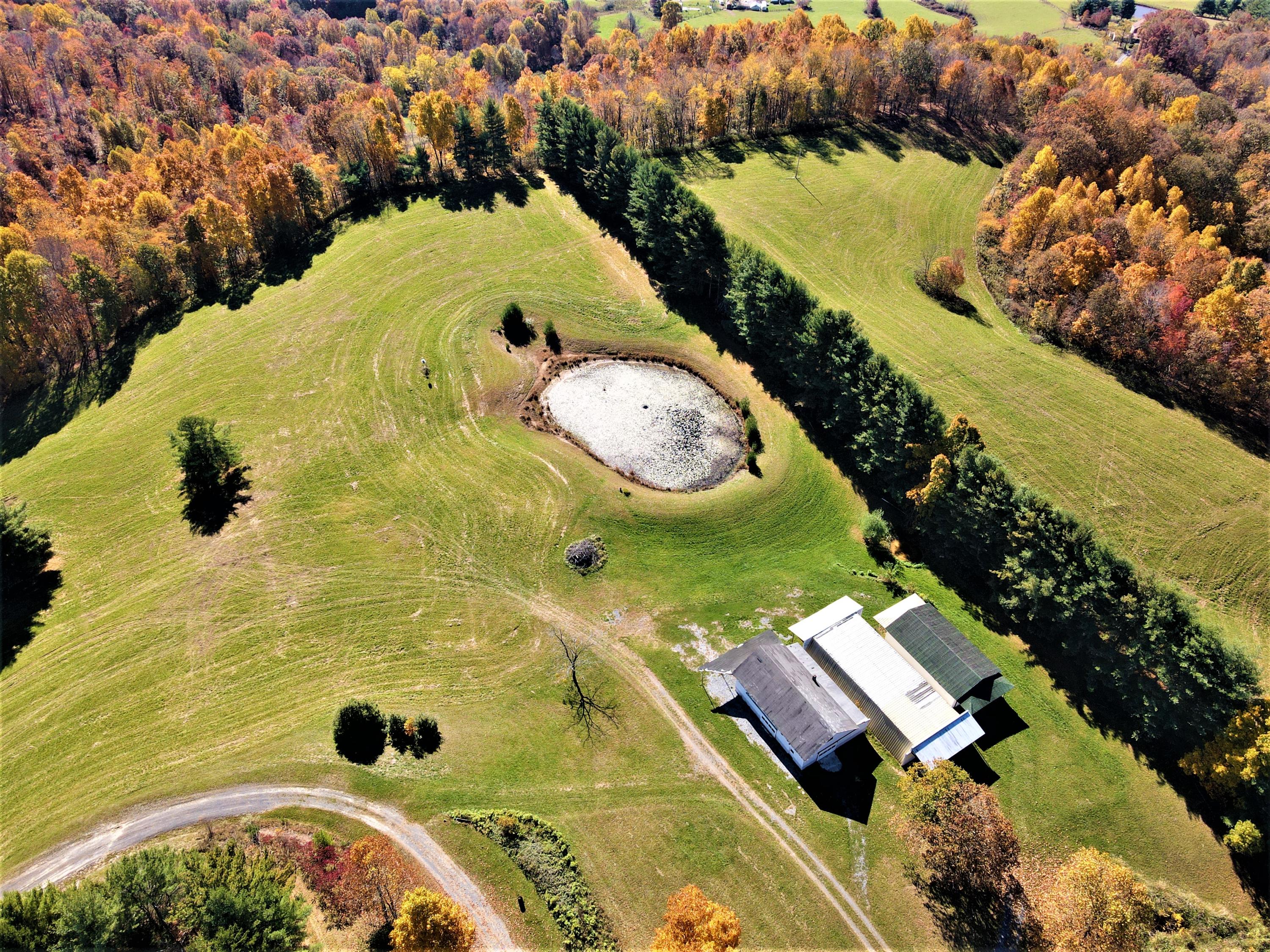 462 Thomas Loop Meadow Bridge, WV 25976 - Photo 5 of 53 Gallery Image 5