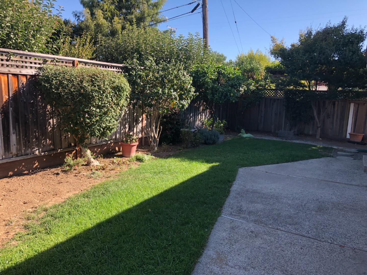 10304 Vista Drive, Unit B Cupertino, CA 95014 - Photo 16 of 16 a view of a backyard with plants and large trees