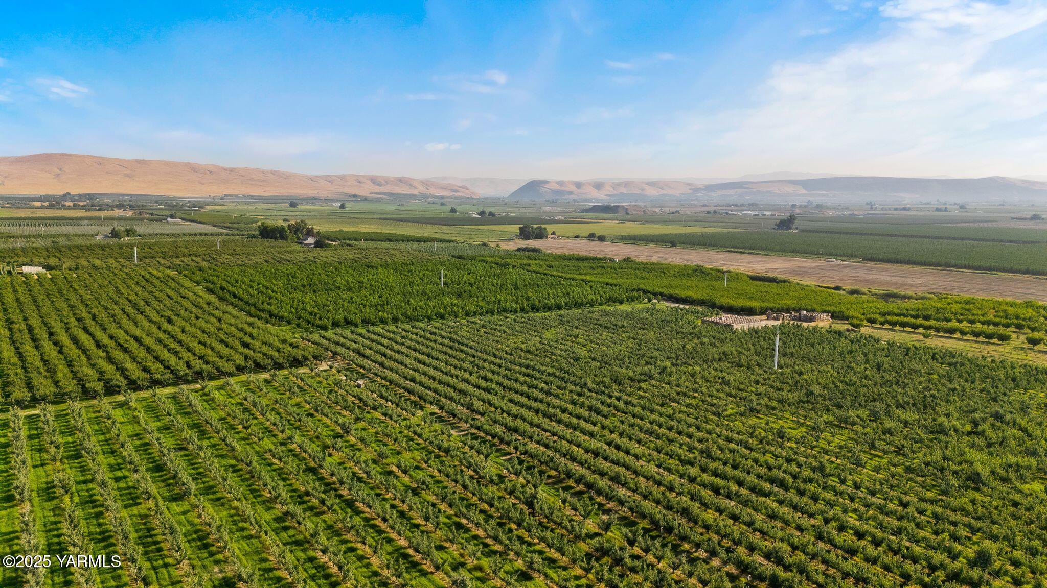 Nka Nka Jones / Riggs Road Wapato, WA 98951 - Photo 4 of 12 Riggs Rd-3