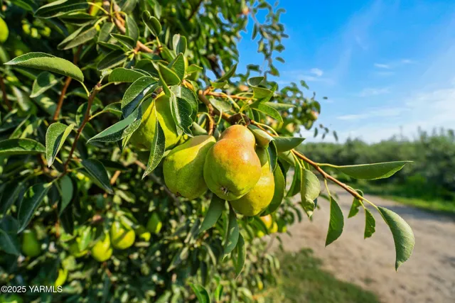 $850,000 | Nka Nka Jones / Riggs Road, Wapato, WA 98951