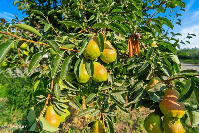 $850,000 | Nka Nka Jones / Riggs Road, Wapato, WA 98951