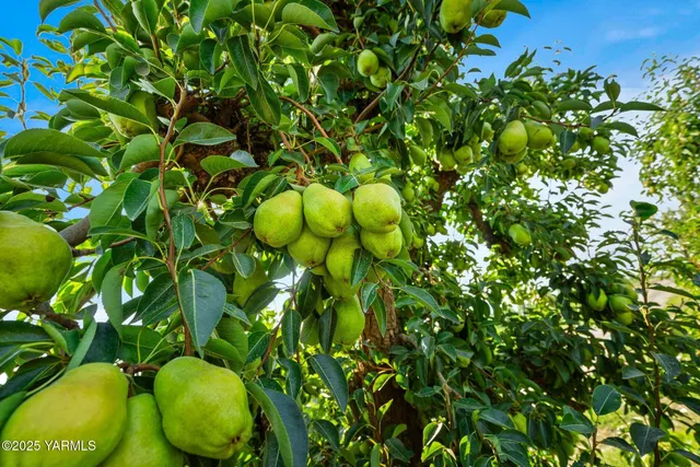 $850,000 | Nka Nka Jones / Riggs Road, Wapato, WA 98951