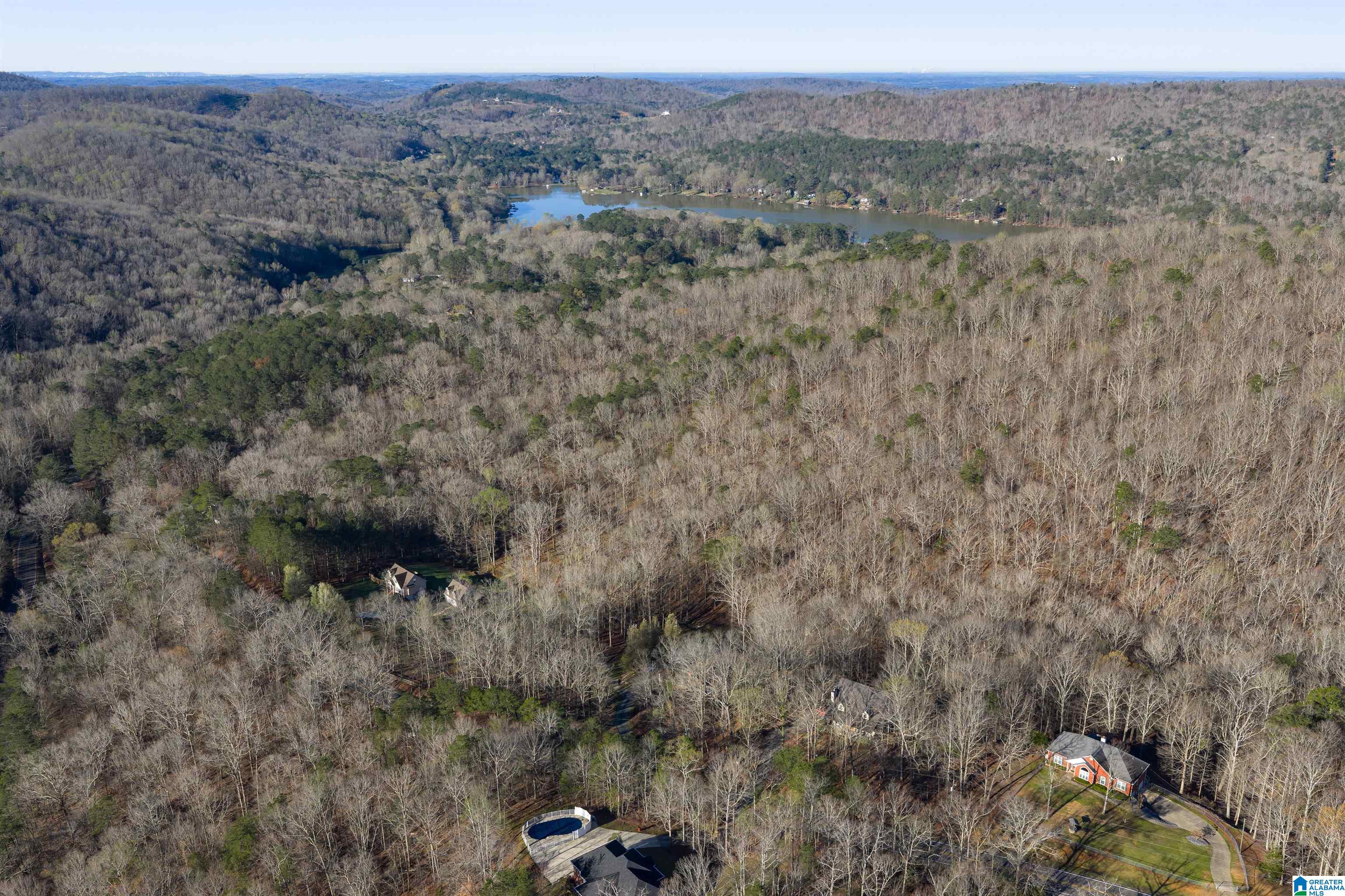 8560 Pine Mountain Road Pinson, AL 35126 - Photo 53 of 59