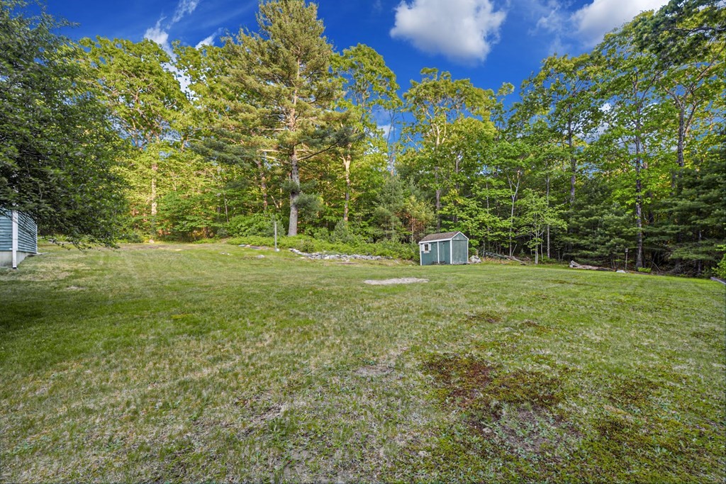 2020 Bay Road Stoughton, MA 02072 - Photo 35 of 38 a view of a field with a tree