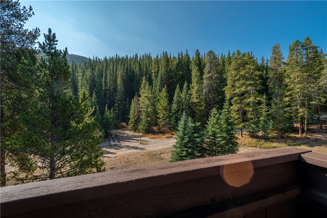 78 Guller Road, Unit 302 Frisco, CO 80443 - Photo 14 of 27 Gallery Image 14