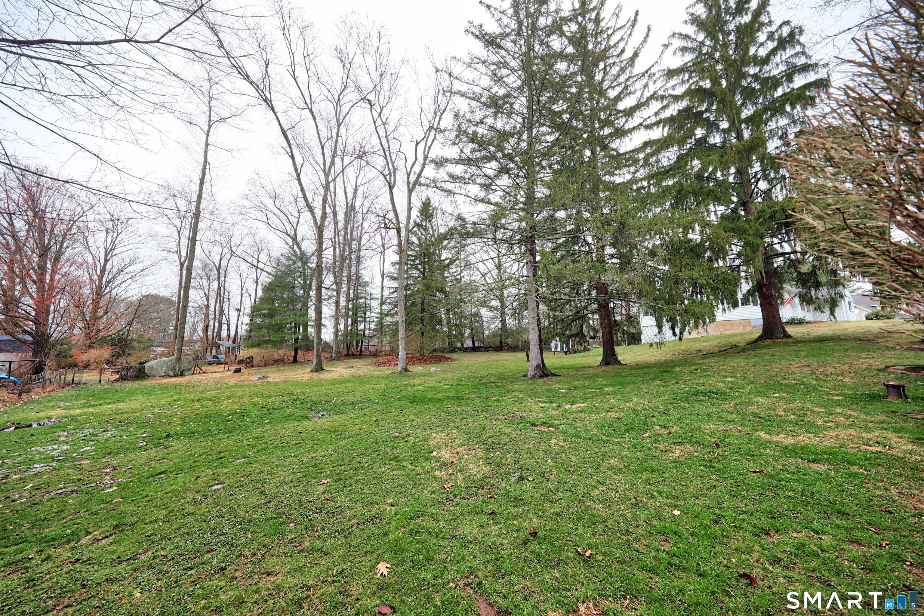125 Tioga Street Torrington, CT 06790 - Photo 30 of 40 a view of a trees with a big yard