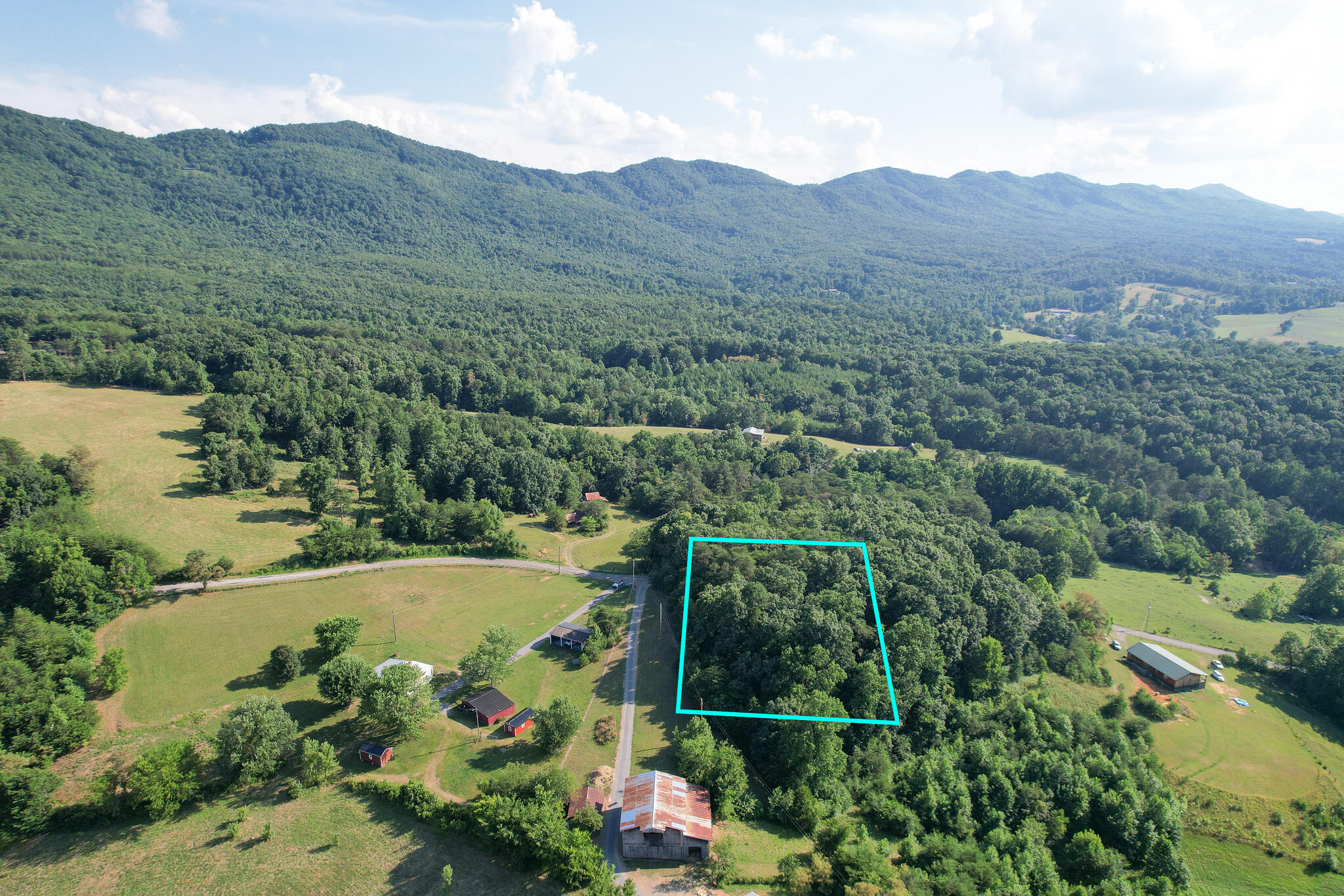 Tbd Olivet Mountain Road Greeneville, TN 37743 - Photo 1 of 22 DJI_0391-Edit