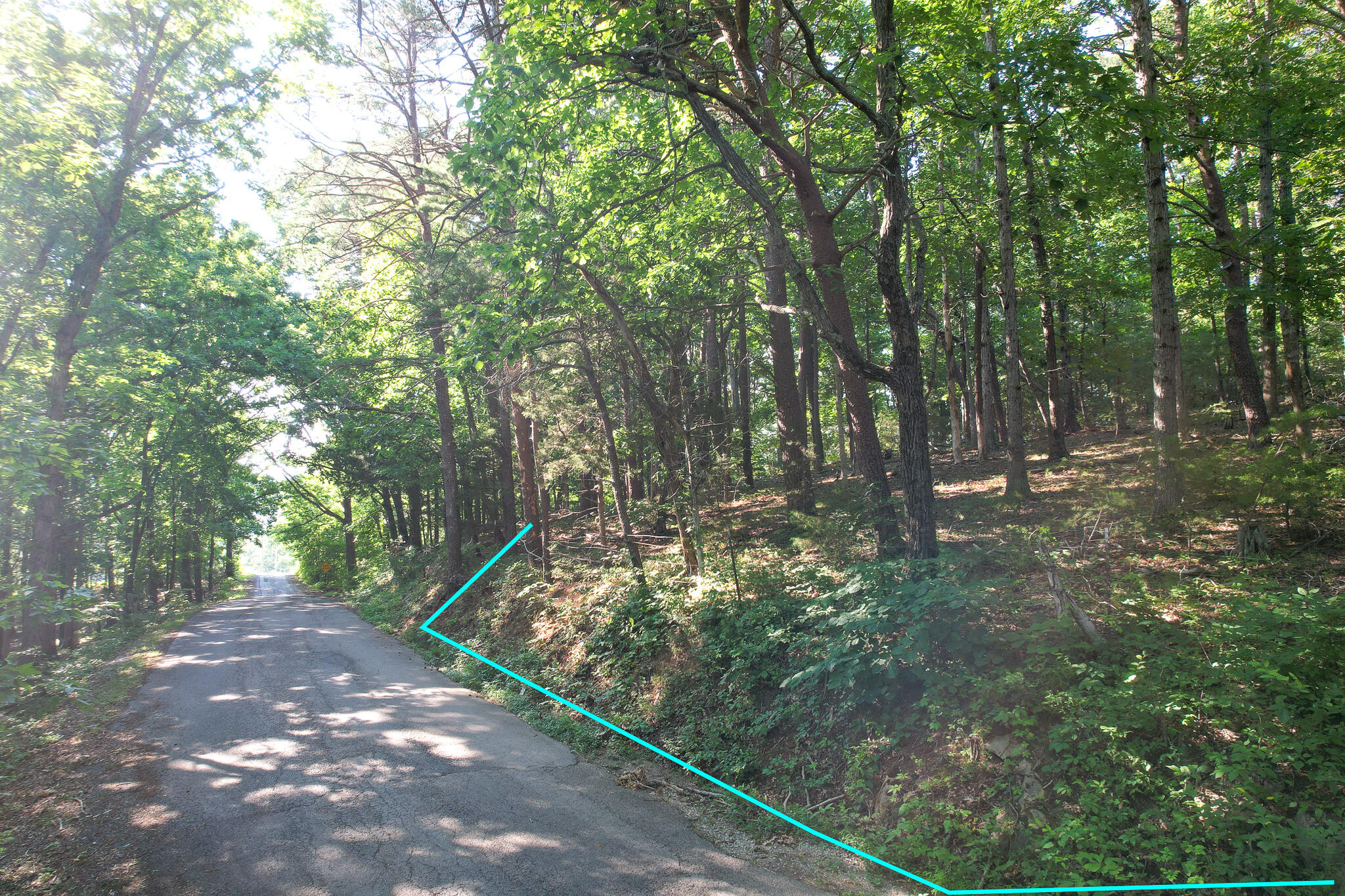 Tbd Olivet Mountain Road Greeneville, TN 37743 - Photo 11 of 22 DJI_0408-Edit