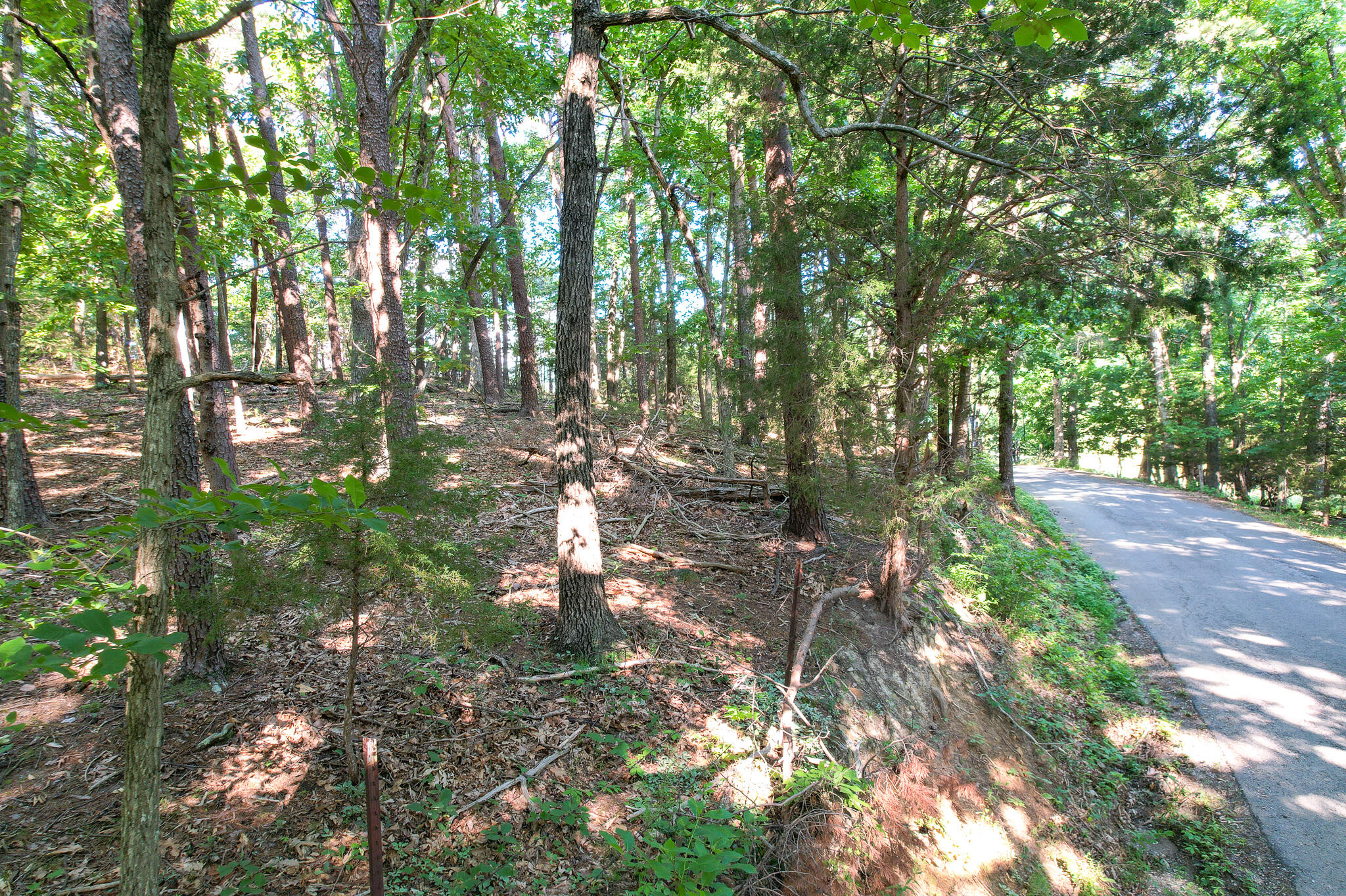 Tbd Olivet Mountain Road Greeneville, TN 37743 - Photo 12 of 22 DJI_0415