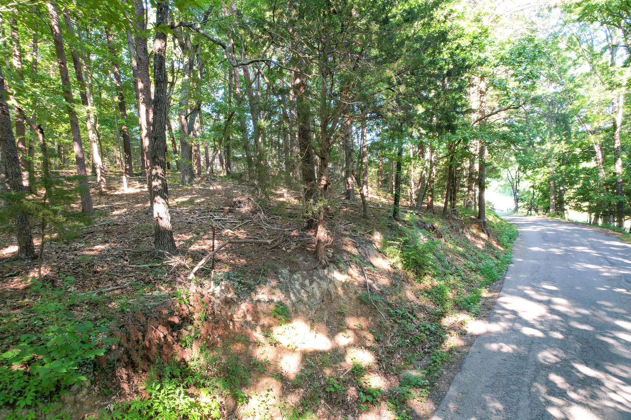 Tbd Olivet Mountain Road Greeneville, TN 37743 - Photo 15 of 22 DJI_0419