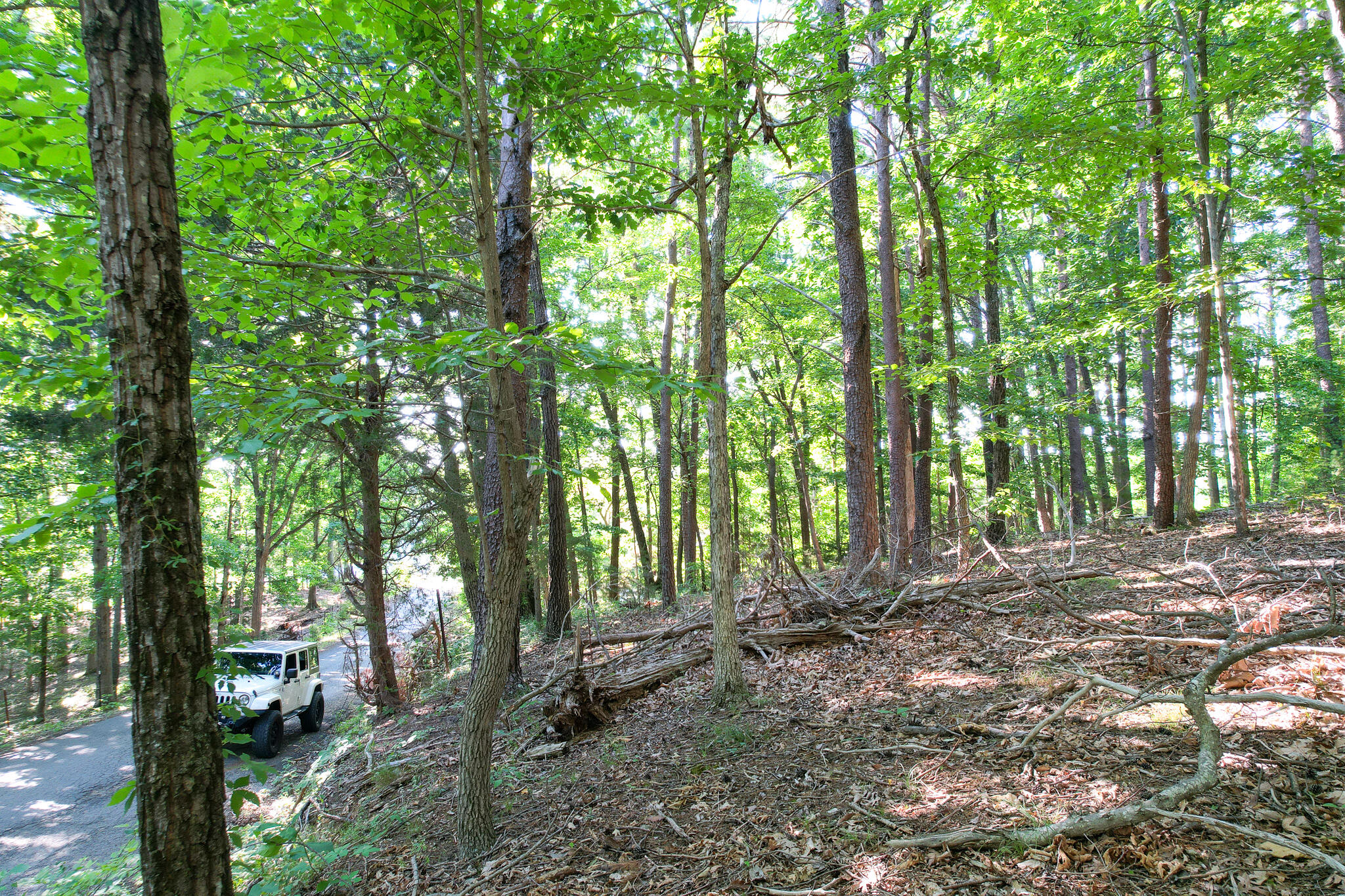 Tbd Olivet Mountain Road Greeneville, TN 37743 - Photo 19 of 22 DJI_0424