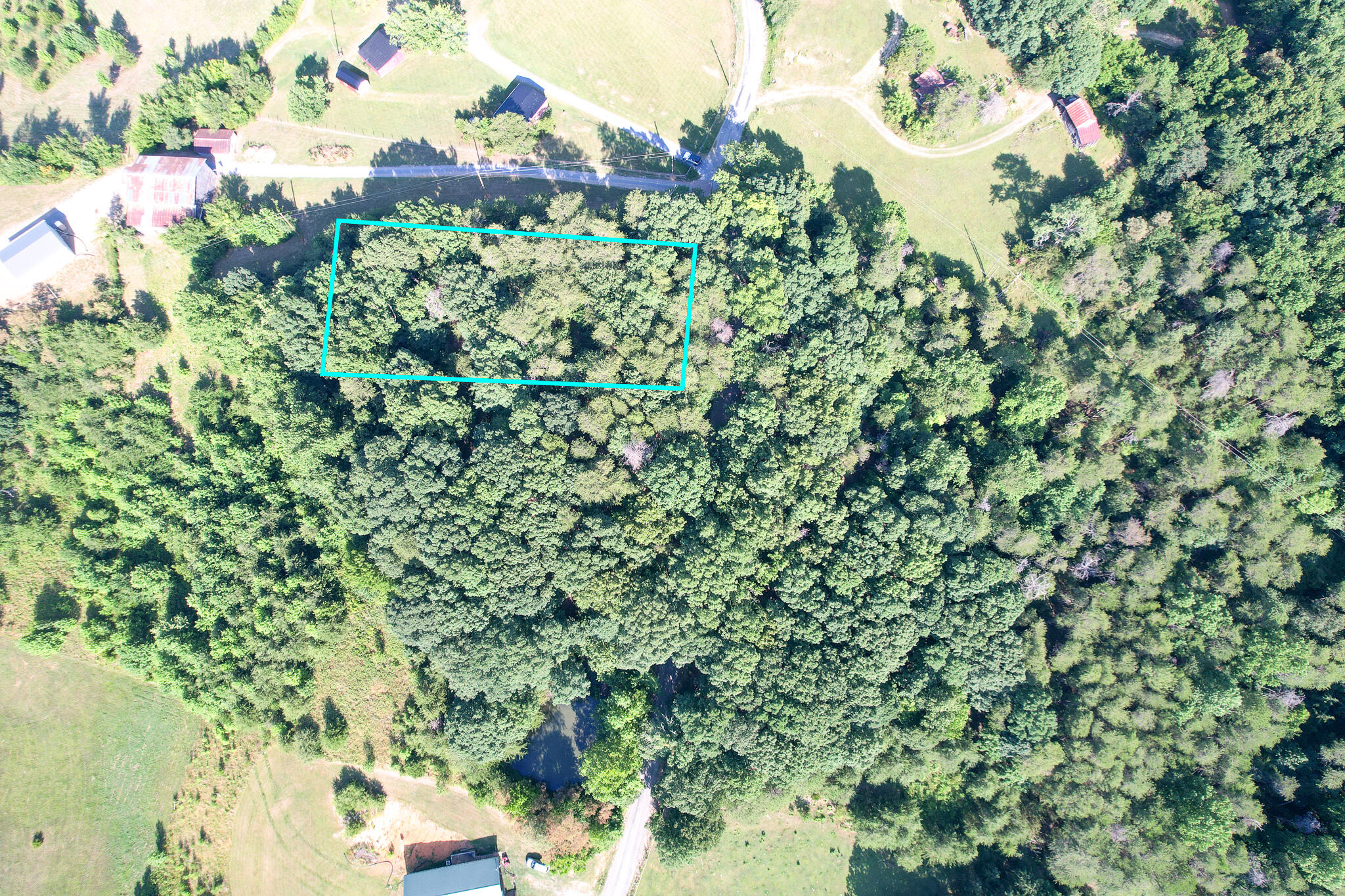 Tbd Olivet Mountain Road Greeneville, TN 37743 - Photo 2 of 22 DJI_0392-Edit