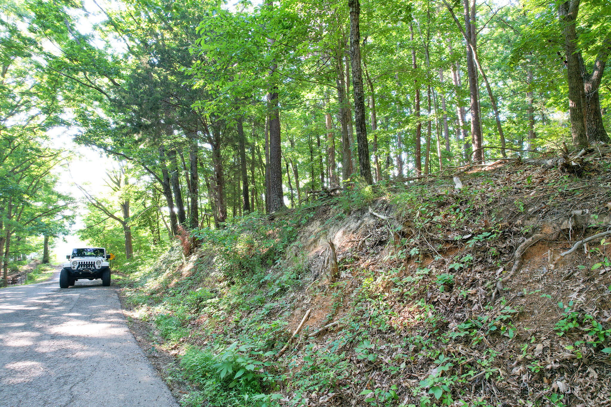 Tbd Olivet Mountain Road Greeneville, TN 37743 - Photo 21 of 22 DJI_0427