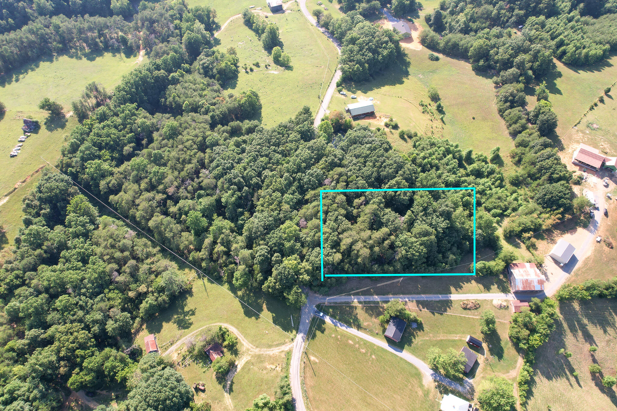 Tbd Olivet Mountain Road Greeneville, TN 37743 - Photo 4 of 22 DJI_0395-Edit