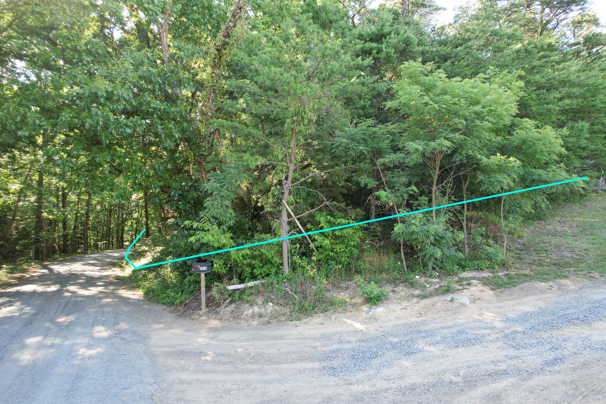 Tbd Olivet Mountain Road Greeneville, TN 37743 - Photo 7 of 22 DJI_0403-Edit