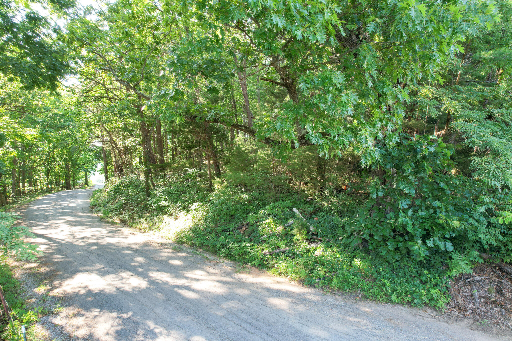 Tbd Olivet Mountain Road Greeneville, TN 37743 - Photo 8 of 22 DJI_0404