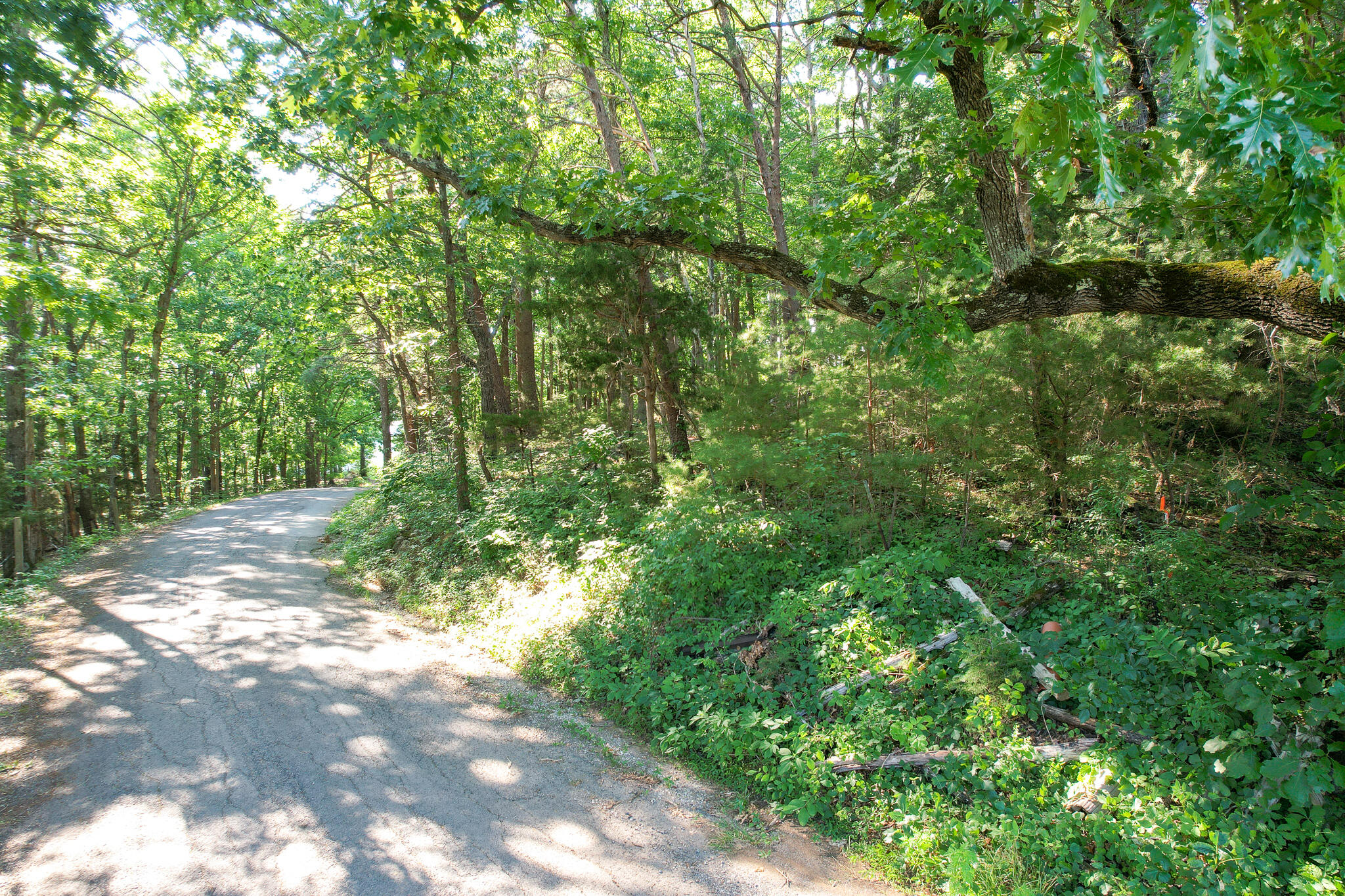 Tbd Olivet Mountain Road Greeneville, TN 37743 - Photo 9 of 22 DJI_0405