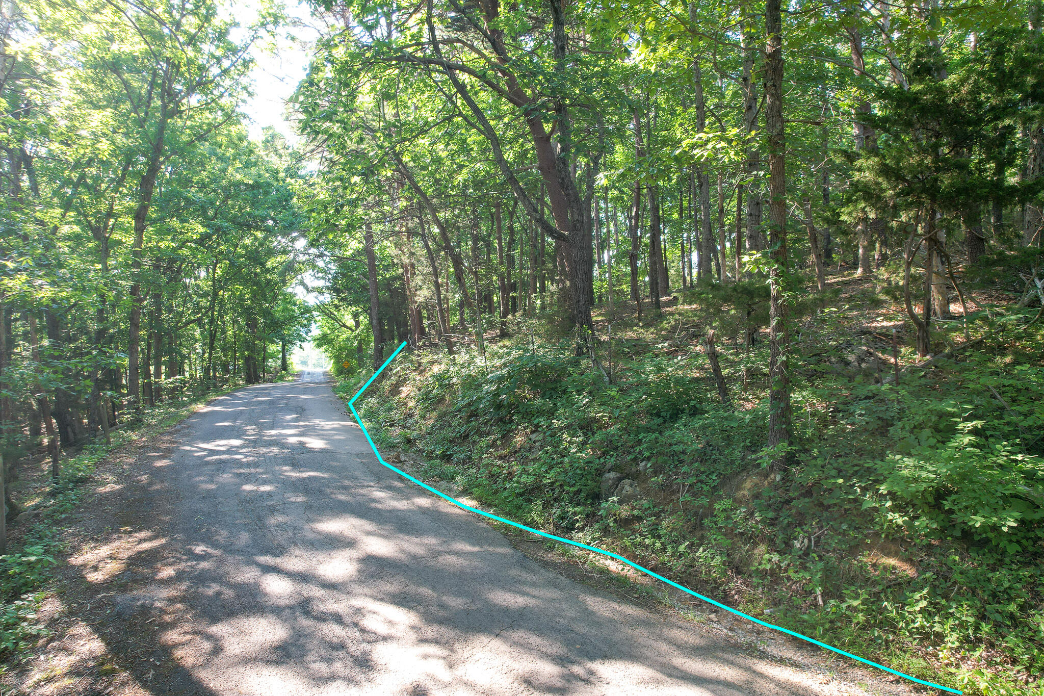Tbd Olivet Mountain Road Greeneville, TN 37743 - Photo 10 of 22 DJI_0406-Edit