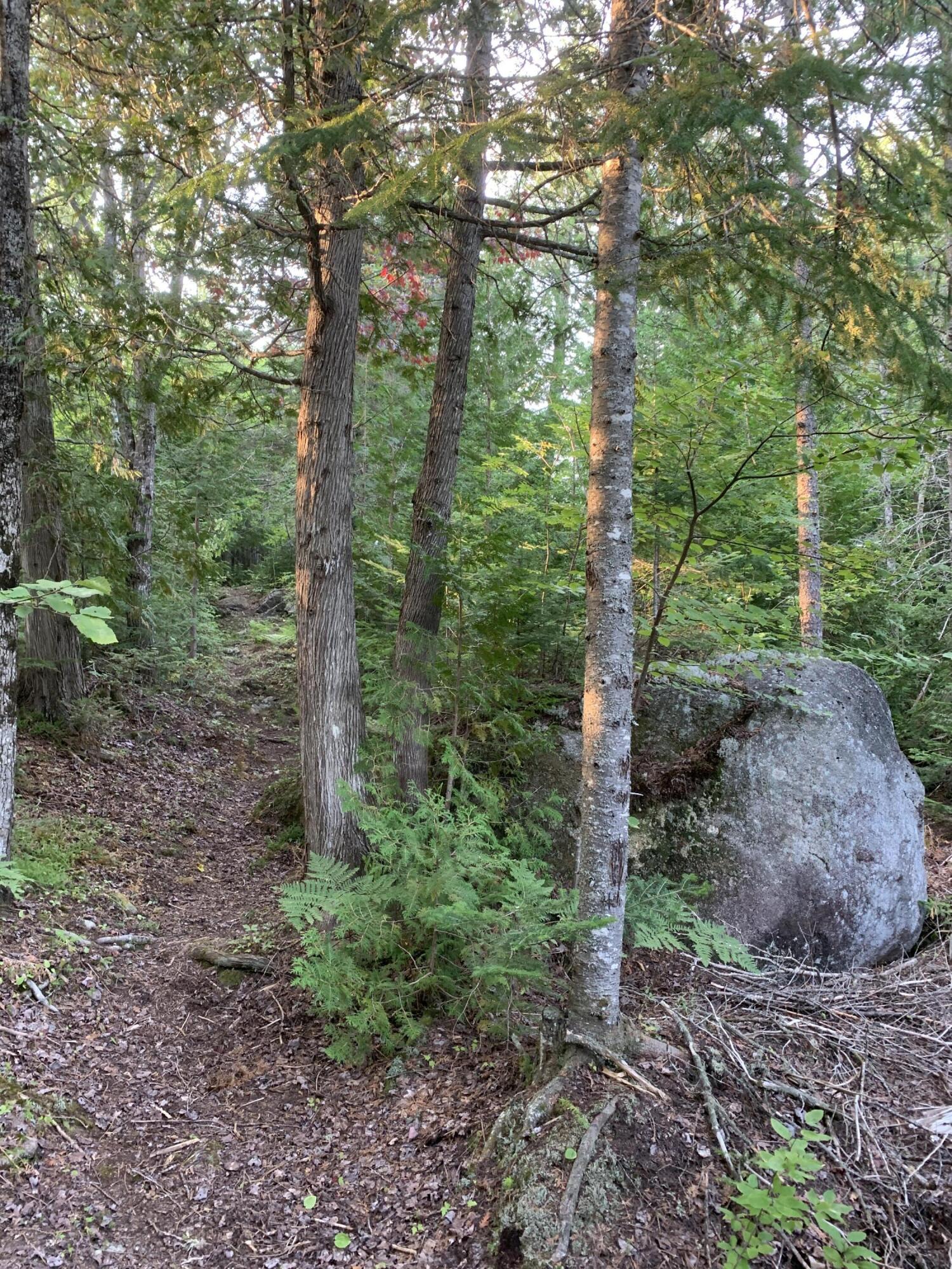 58 South Cottage Road Dallas Plt, ME 04970 - Photo 19 of 72 IMG_1795