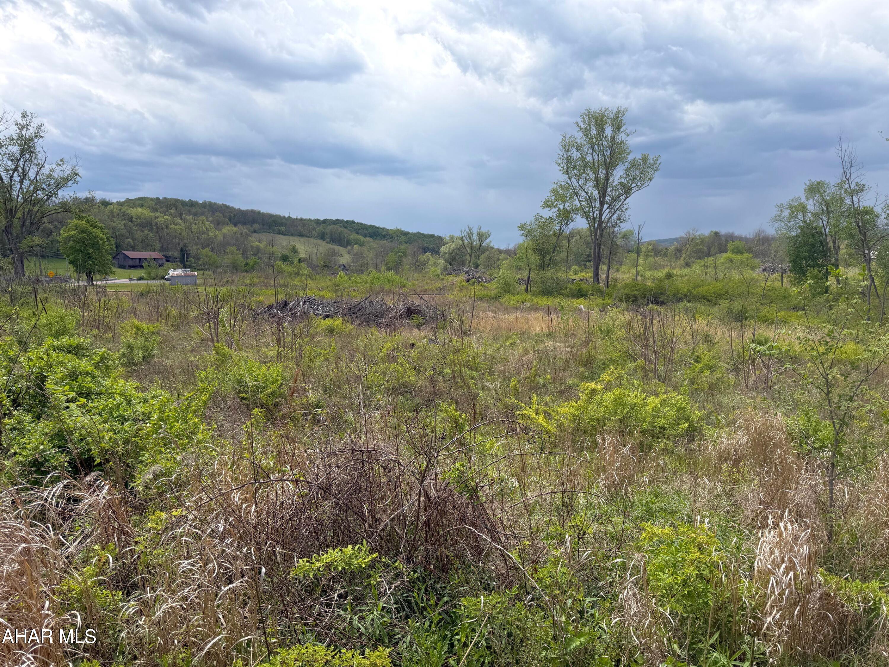 Off Quarry Road Imler, PA 16655 - Photo 8 of 14