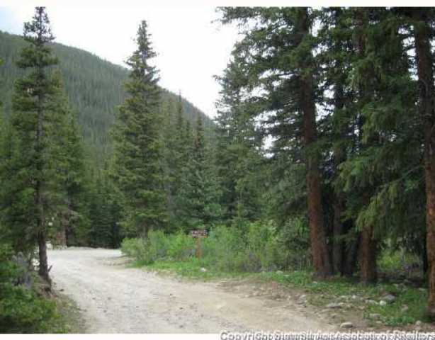 67 Webster Pass Road Dillon, CO 80435 - Photo 4 of 8 Land/Lot.