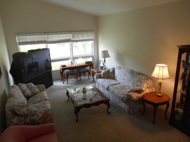 223 Harding Avenue Libertyville, IL 60048 - Photo 3 of 12