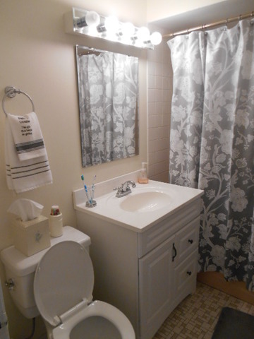 223 Harding Avenue Libertyville, IL 60048 - Photo 7 of 12