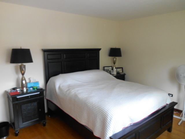 223 Harding Avenue Libertyville, IL 60048 - Photo 10 of 12
