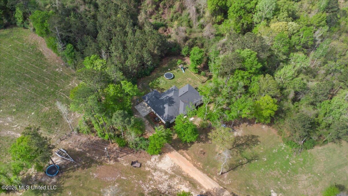 4107 Highway 589 Sumrall, MS 39482 - Photo 32 of 34 33-DJI_0254