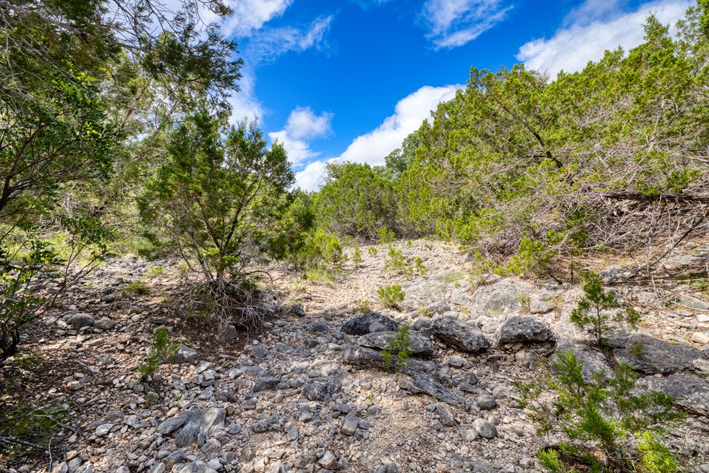 1702 Pinon Loop East Camp Wood, TX 78833 - Photo 15 of 19