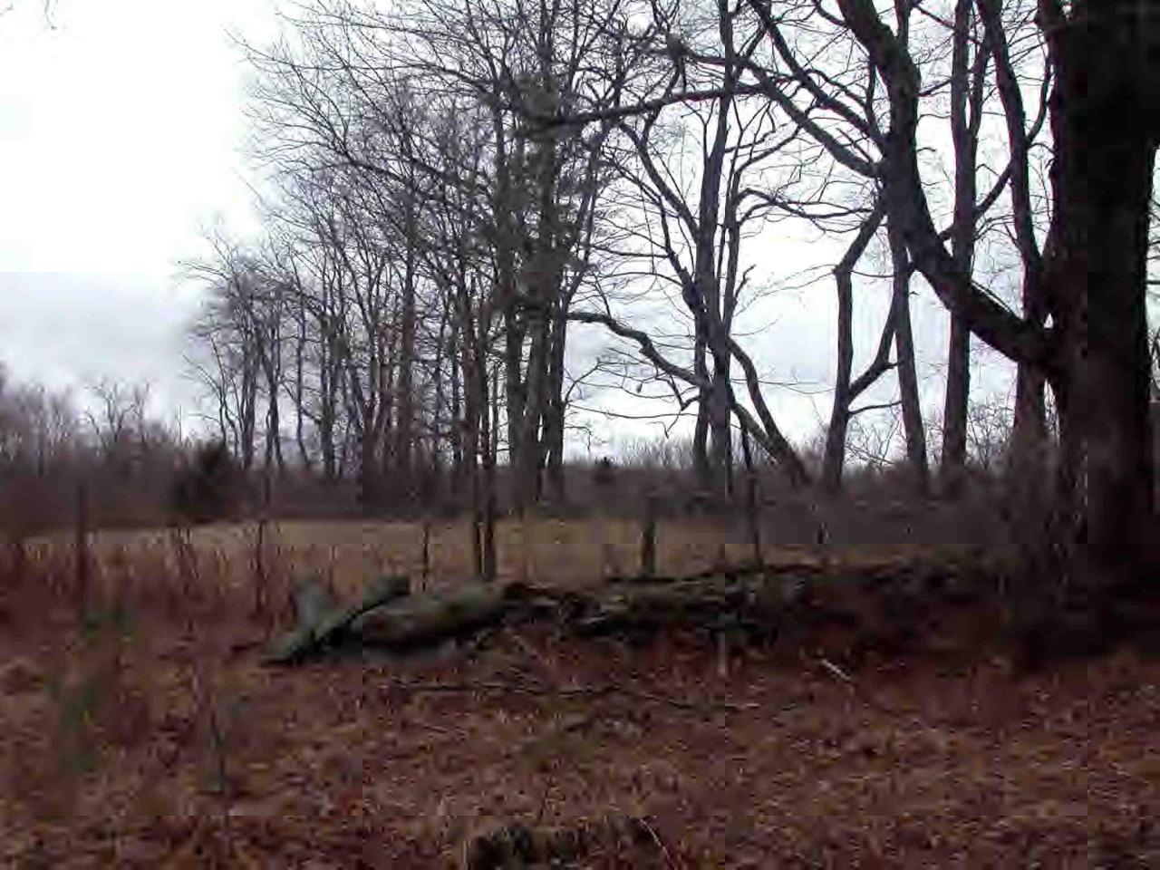 805 Becket Road Otis, MA 01253 - Photo 4 of 4 a view of backyard with green space