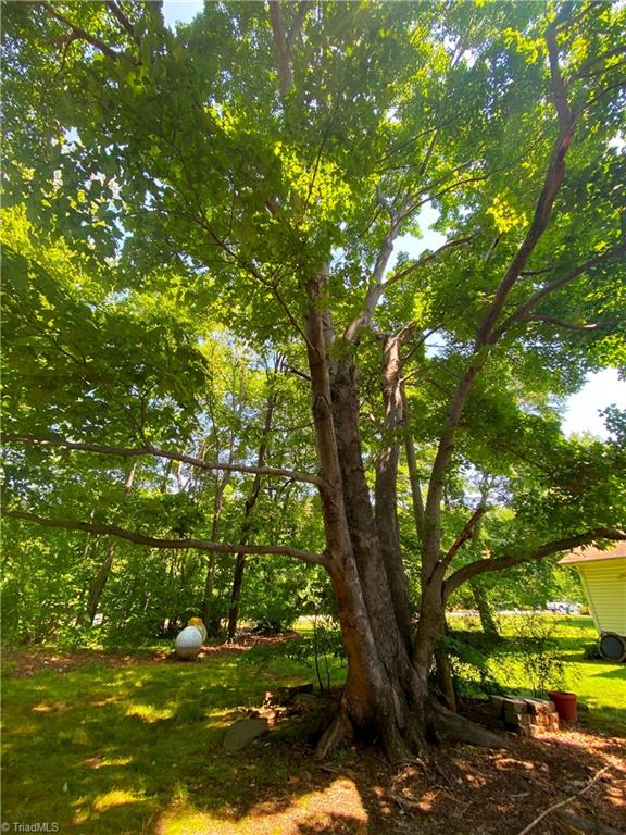 1910 Angell Road Madison, NC 27025 - Photo 11 of 38